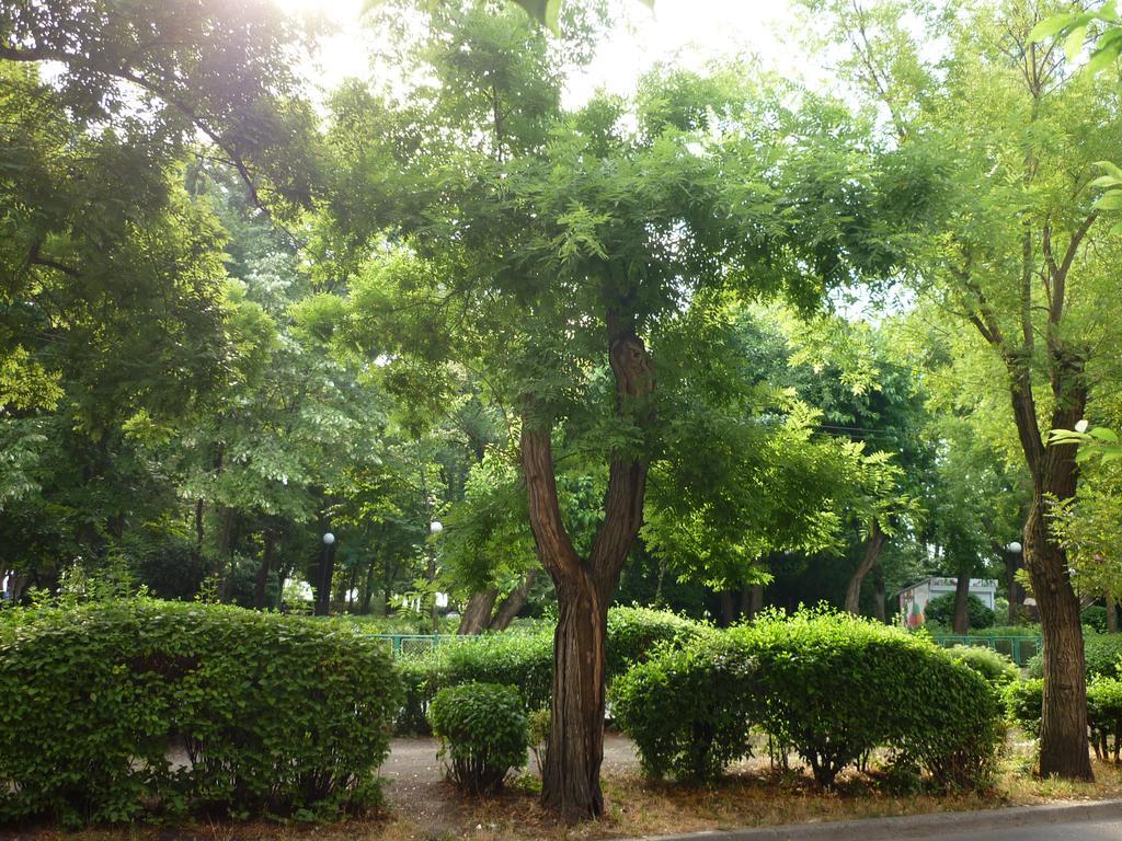 בורגאס Sea Garden Plaza Apartment - Free Parking חדר תמונה