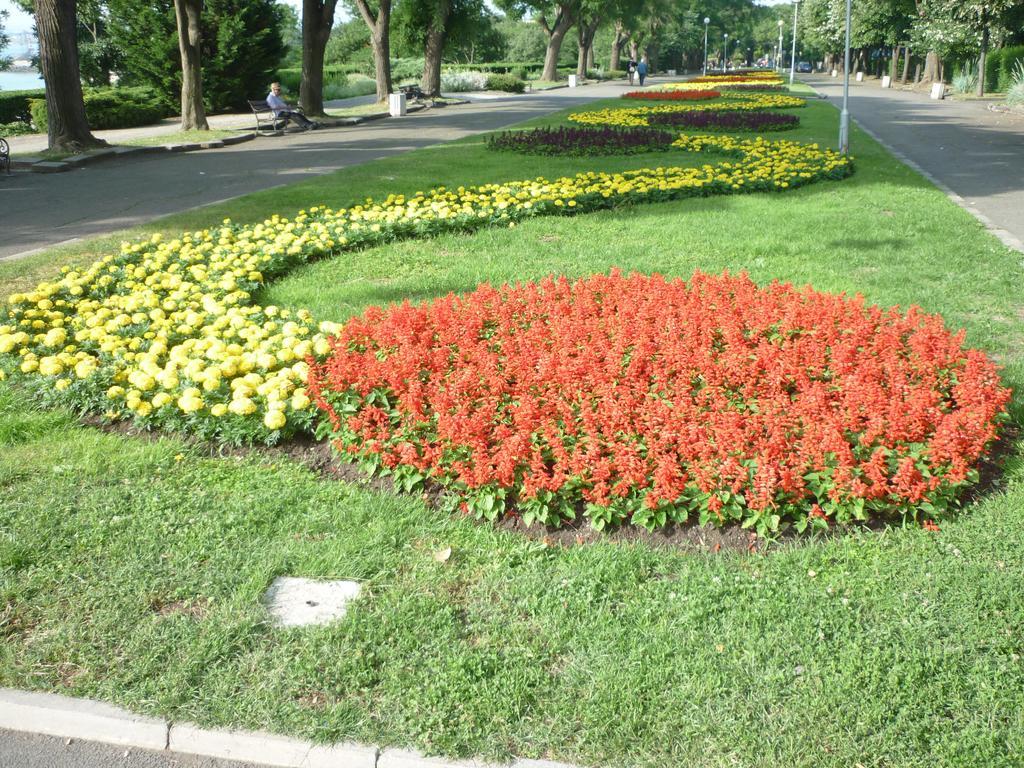 בורגאס Sea Garden Plaza Apartment - Free Parking חדר תמונה